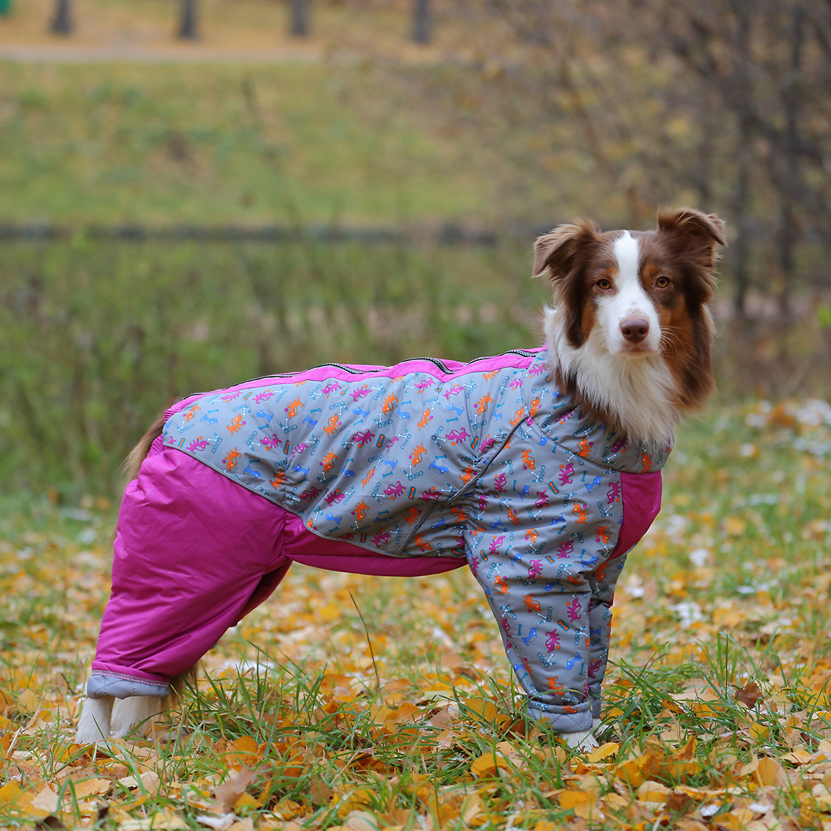 Комбез для собак. Osso Fashion комбинезон. Osso одежда для собак. Комбинезон для собак Osso Fashion для девочки. Комбинезон Osso Fashion зима.