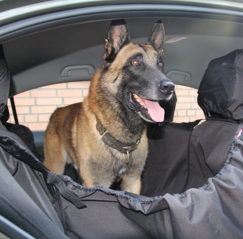 Автогамак  OSSO Car Premium для перевозки собак с защитой обивки дверей (трансформер 3в1, позволяет раскладывать его на все заднее сидение, либо на одно, либо на два места) цвета: серый, синий, коричневый, размер 125*170