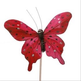 Бабочка Tropicana на вставке, 8х50см