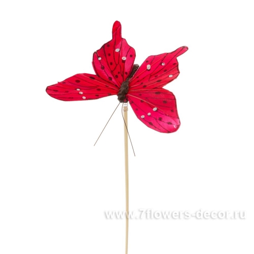 Бабочка Tropicana на вставке, 8х50см
