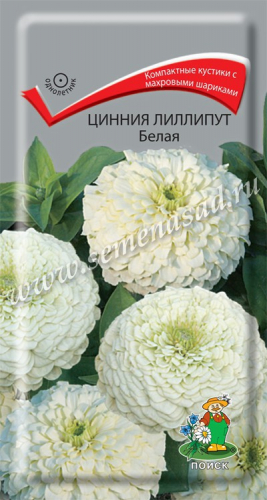 Цветы Цинния лилипут Белая 0,4 г ц/п Поиск