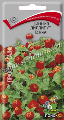 Цветы Цинния лилипут Красная 0,4 г ц/п Поиск