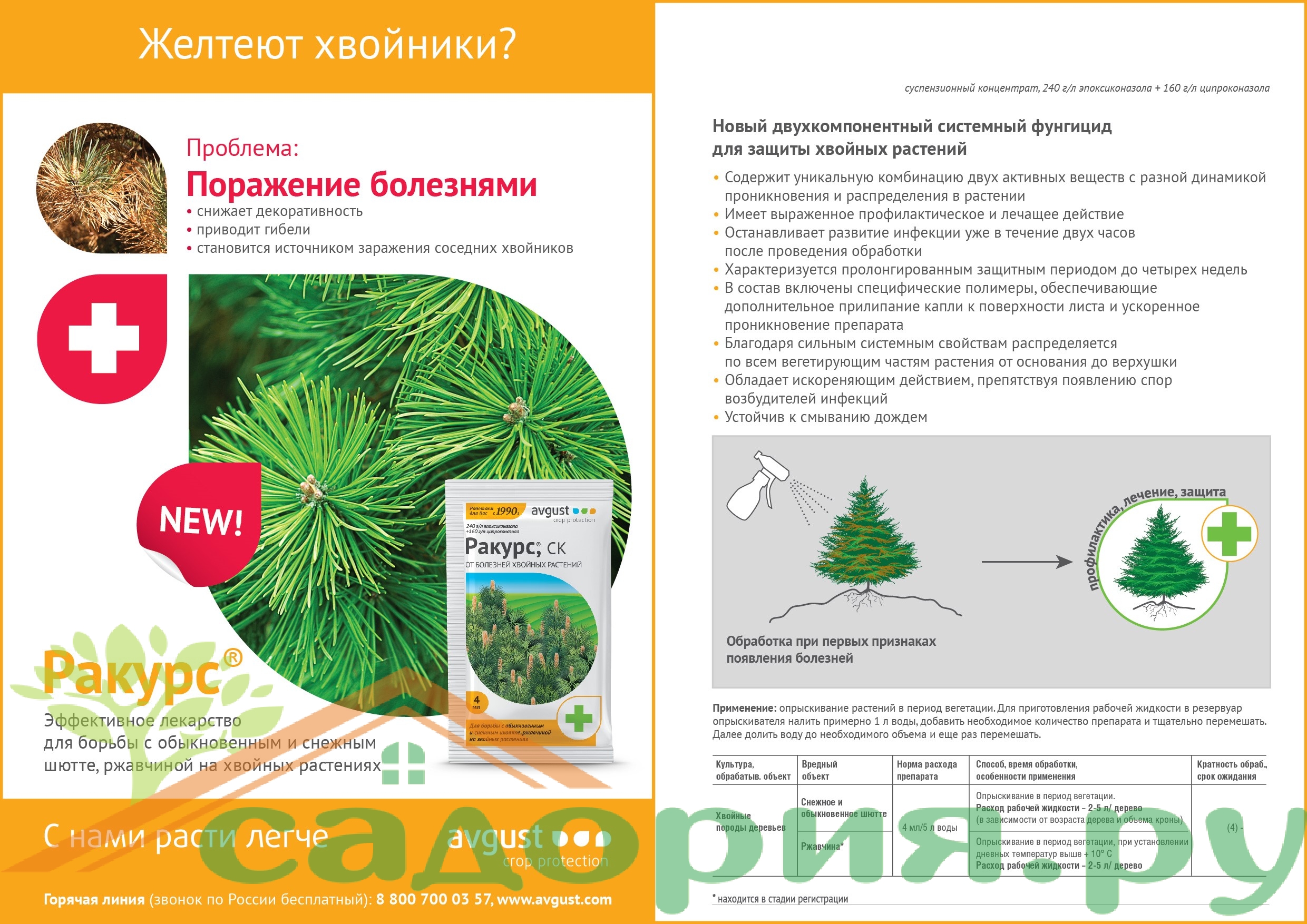 Avgust растения. Ракурс от болезней хвойных растений 4мл. Ракурс 4мл.(от болезней хвойных) август х200. Ракурс препарат 48 мл. Ракурс от болезней для хвойных раст. 4мл..