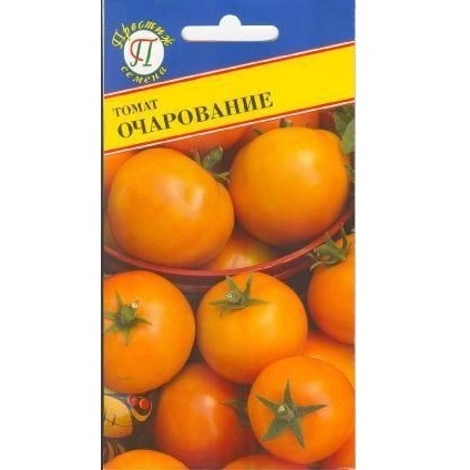 Томат Папина Дочка Фото