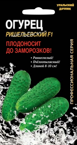 огурец Ришельевский F1 - 8 сем.  Профессиональная Серия Гибридов от Селекционера Ю.И. Панчева(НОВИНКА)