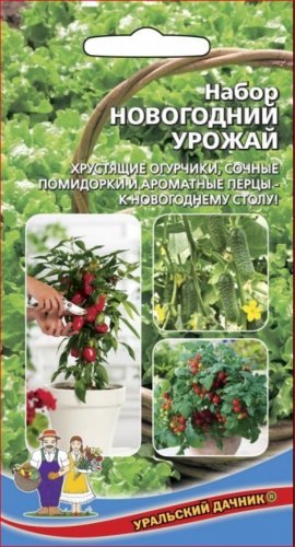 Набор семян комнатных сортов Новогодний Урожай (САМАЯ ХОДОВАЯ ПОЗИЦИЯ. ХИТ ПРОДАЖ.)