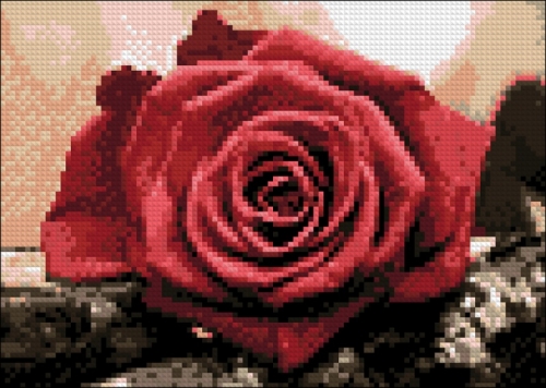 Алмазная мозайка: Красная роза размер 30х20 Ag 4631