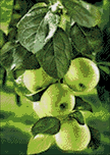 Алмазная мозайка: Зеленые яблоки размер 27х38 Ag 208