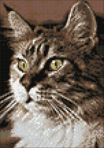 Алмазная мозайка: Домашний кот 20х30 Ag 159