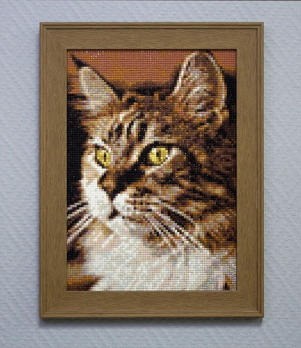 Алмазная мозайка: Домашний кот 20х30 Ag 159