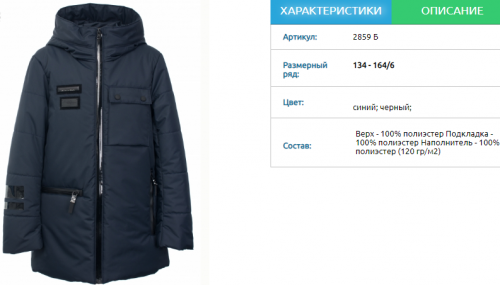 Куртка для мальчика демисезонная 2859Б
