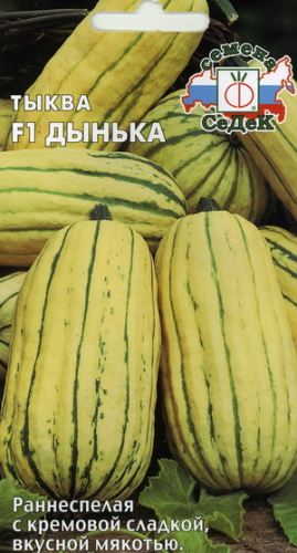 Тыква Дынька F1, 1 г ц/п Седек, порционная до 1,5 кг
