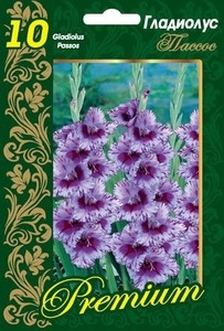 Гладиолус Пассос лавандово-сиреневый с фиолетово-пурпурным пятном и полосами по всей длине, крупноцветковый 3 шт