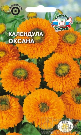 Календула Оксана 0,3г  (оранжевая с зеленым центром)