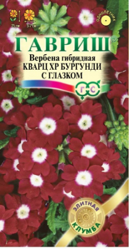 Вербена Кварц -ХР Бургунди с глазком,гибридная 5шт серия Элитная клумба