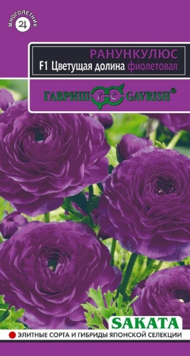 Ранункулюс Цветущая долина фиолетовая F1  3шт серия Эксклюзив Саката