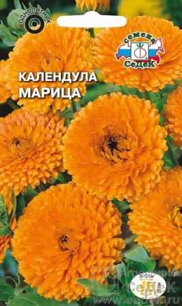 Календула Марица (оранжевая) 0,25г