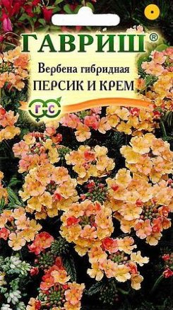 Вербена Персик и Крем 0,05г серия Устойчив к заморозкам!