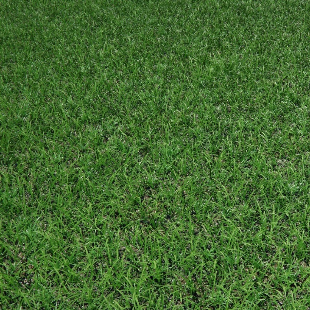  Гном Стандарт 1 кг Зеленый уголок. Газонные и кормовые травы