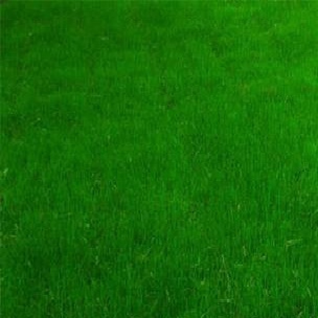  Гном Стандарт 10 кг Зеленый уголок. Газонные и кормовые травы