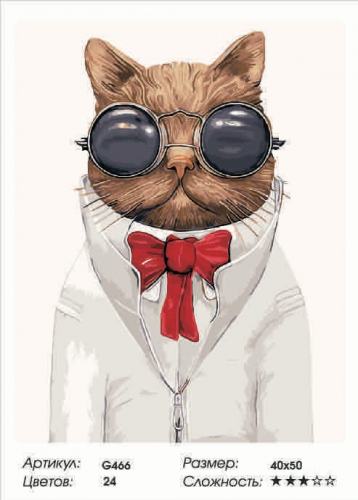 (Ж) Кот в очках
