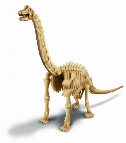 Скелет Брахиозавра