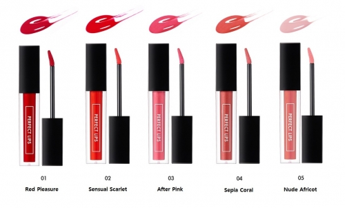 Блеск для губ Perfect Lips Rouge Gloss  4.5г