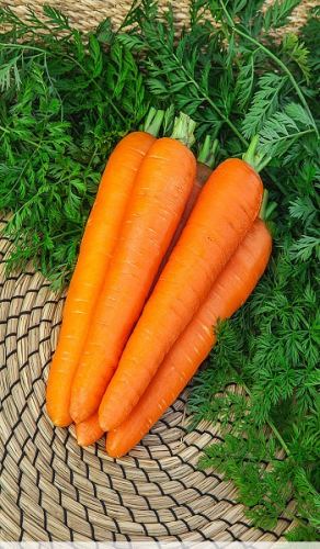 Морковь Роте Ризен 2 гр цв.п.