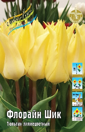 Тюльпан Флорайн Шик (В упаковке 10 шт.)