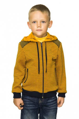 Куртка, толстовка для мальчика мод. 3246