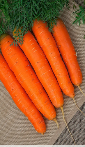 Морковь Детская сладость (гранулы 300шт)