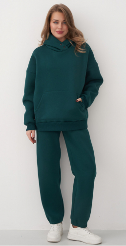 Брюки COTTON с начесом плотный