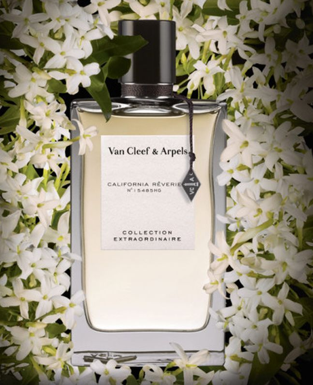 Van cleef collection. Духи van Cleef Arpels California Reverie. Van Cleef & Arpels collection extraordinaire gardenia petale. Аромат van Cleef Arpels California Reverie. Van Cleef & Arpels collection extraordinaire California Reverie.