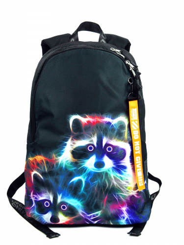 9907 Рюкзак PRINTBAG