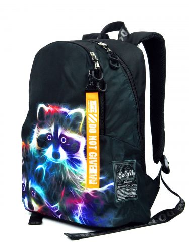 9907 Рюкзак PRINTBAG