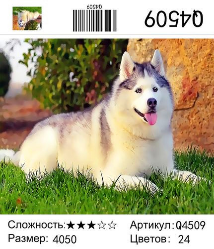 Q4509 Картины-раскраски по номерам 40х50