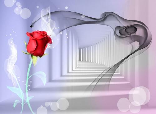 3 D обои Красная роза в тоннеле