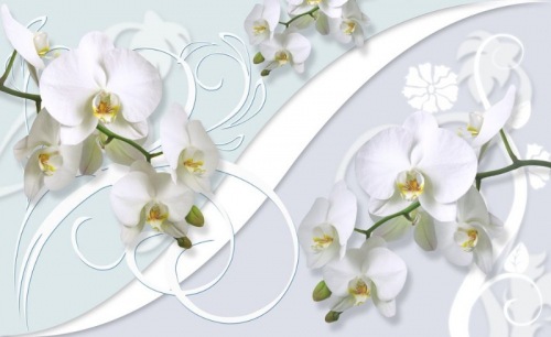 3 D обои Нежная композиция с орхидеями