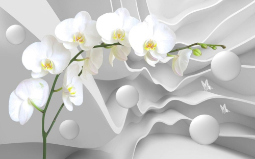 3 D обои  Белая орхидея на объемном фоне