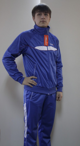 Мужской спортивный костюм 5-я модель 9 синий со св.серой вставкой