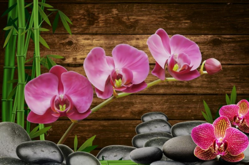 Обои 3D Розовые орхидеи на камнях