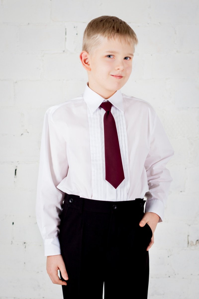 Мальчик в красном галстуке