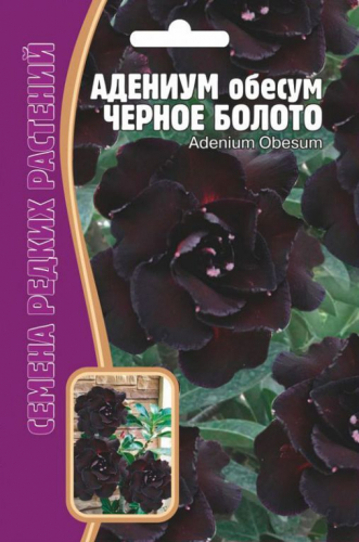 Семена Адениум (Роза пустыни) Черное Болото, 3 шт. уп.