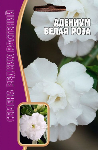Семена Адениум (Роза пустыни) Белая Роза 3 шт. уп.