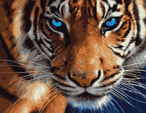 Картина по номерам 40х50 - Голубоглазый тигр