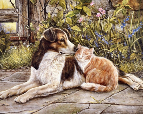 Картина по номерам 40х50 - Пёс и кот