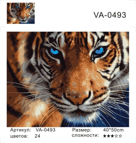 Картина по номерам 40х50 - Голубоглазый тигр