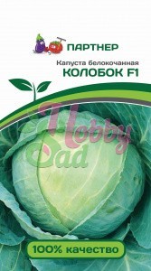 Капуста Колобок F1 белокочанная позднеспелая (0,2 г) Партнер