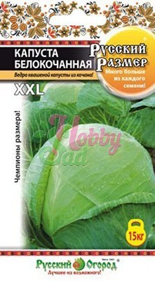 Капуста Русский Размер белокочанная (50 шт) серия Русский Размер Русский Огород