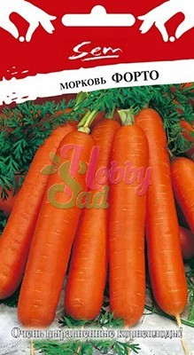 Морковь Форто (2 г) Русский Огород